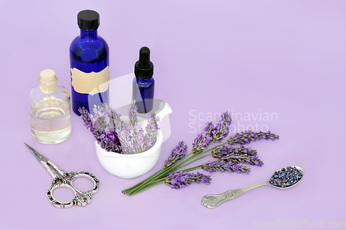 Image of Lavender Herb Flower Aromatherapy Essential Oil  