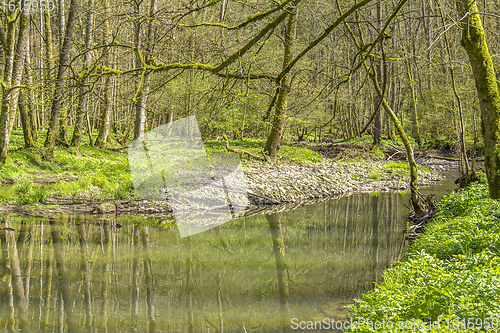 Image of waterside scenery at spring time