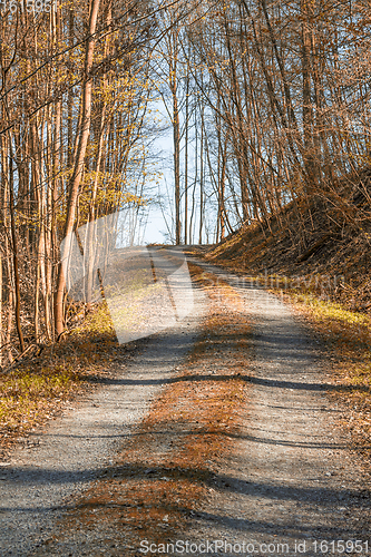 Image of idyllic forest and field path