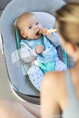 Image of Mother spoon feeding her baby boy infant child in baby chair with fruit puree. Baby solid food introduction concept.