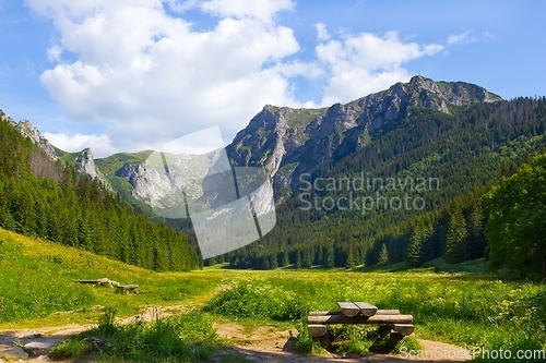 Image of Mountain glade Wielka Polana Malolacka in Poland