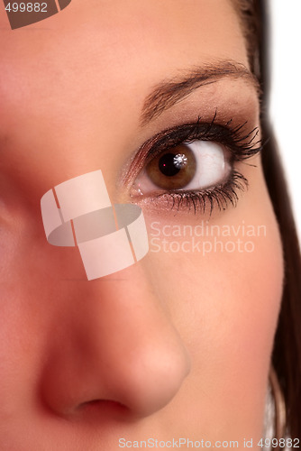 Image of face eye nose