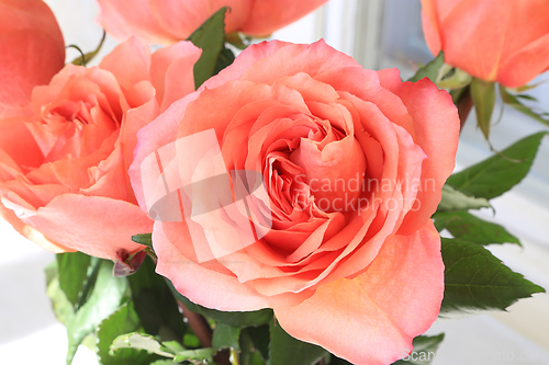 Image of Beautiful bouquet of delicate coral roses