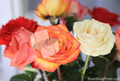 Image of Beautiful bouquet of delicate colorful roses