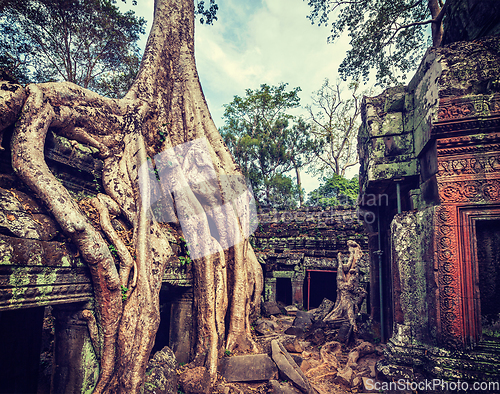 Image of Ancient ruins and tree roots, Ta Prohm temple, Angkor, Cambodia