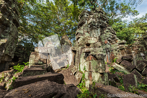 Image of Ancient ruins and tree roots, Ta Prohm temple, Angkor, Cambodia