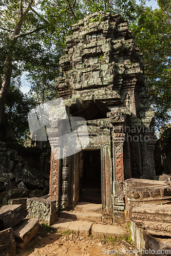 Image of Ancient ruins and tree roots, Ta Prohm temple, Angkor, Cambodia