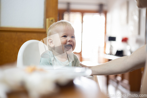 Image of Adorable cheerful happy infant baby boy child smiling while sitting in high chair at the dining table in kitchen at home beeing spoon fed by his mother