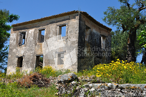 Image of abandoned house and spring landscape