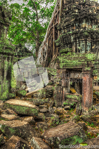 Image of Ancient ruins and tree roots, Ta Prohm temple, Angkor, Cambodia