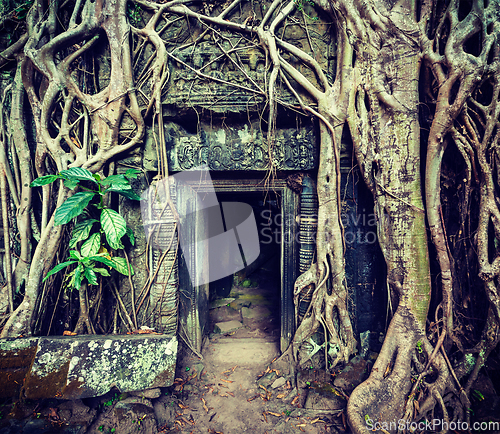 Image of Ancient stone door and tree roots, Ta Prohm temple, Angkor