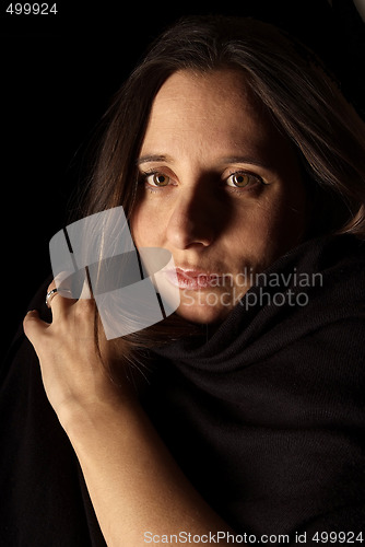 Image of dunkdark-haired woman portrait