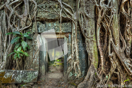 Image of Ancient stone door and tree roots, Ta Prohm temple, Angkor