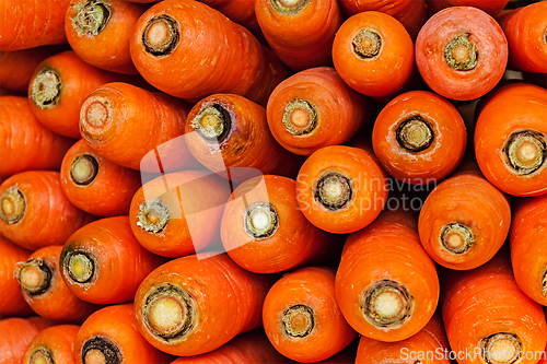 Image of Carrots close up