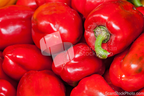 Image of Red Capsicum Bell peppers