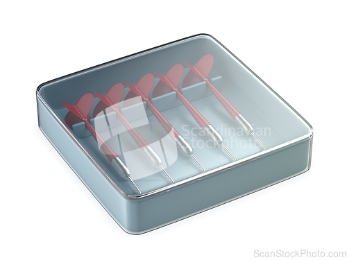 Image of Transparent box with five red darts