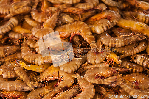 Image of Shrimps close up