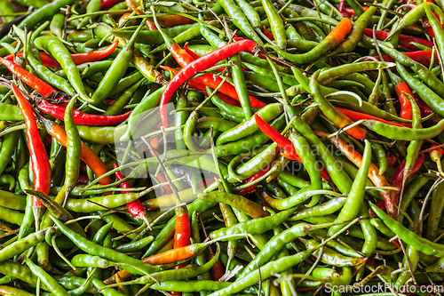Image of Red and green spicy chili peppers