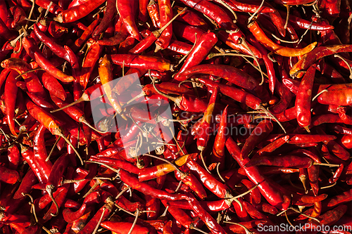 Image of Red spicy chili peppers