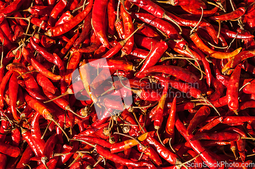 Image of Red spicy chili peppers