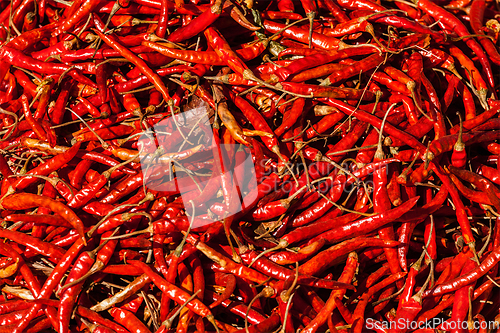 Image of Red spicy chili peppers