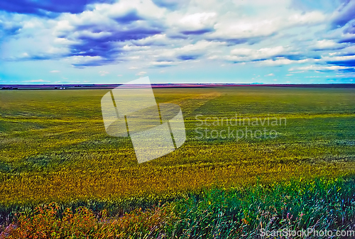 Image of Fields, Montana