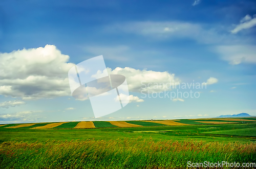 Image of Fields in Montana