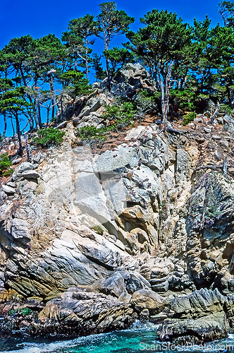 Image of Point Lobos, California
