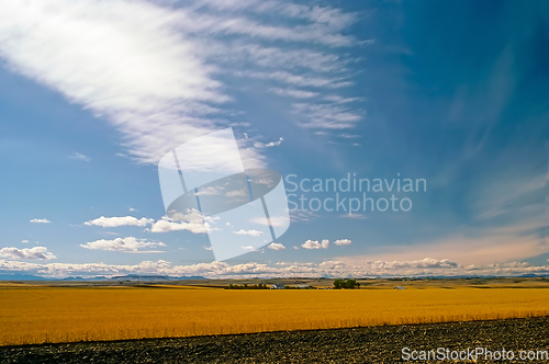 Image of Field, Montana