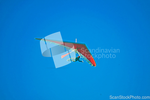 Image of Glider