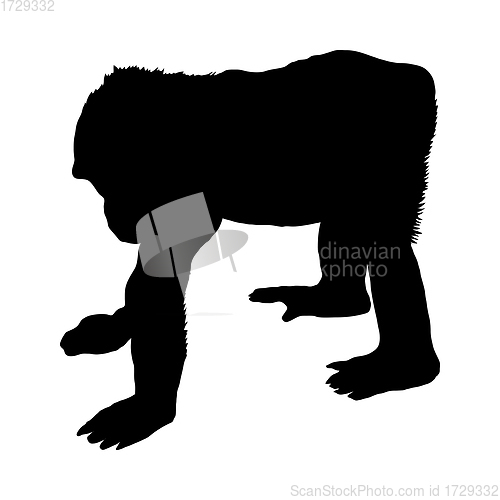Image of Gorilla Silhouette