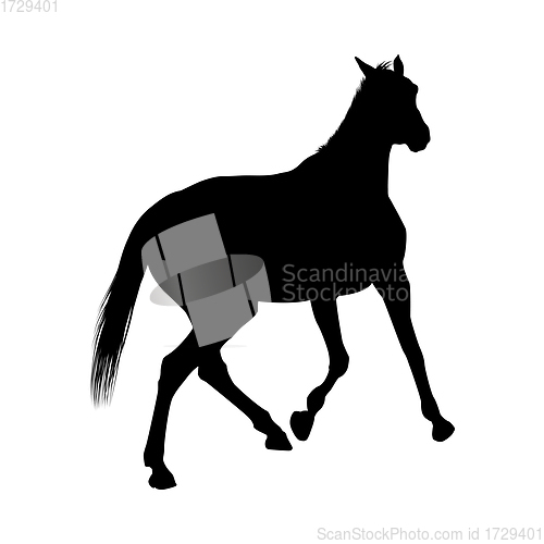 Image of Horse Silhouette