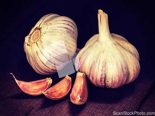 Image of Garlic