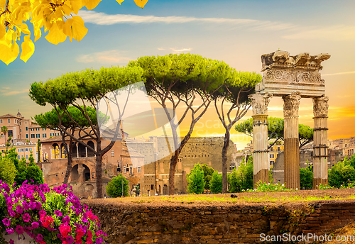 Image of Autumn view of Roman Forum