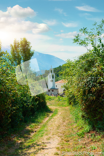 Image of Back yard of church