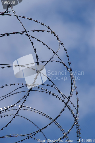 Image of barbwire