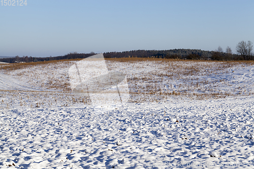 Image of snow covered farm field