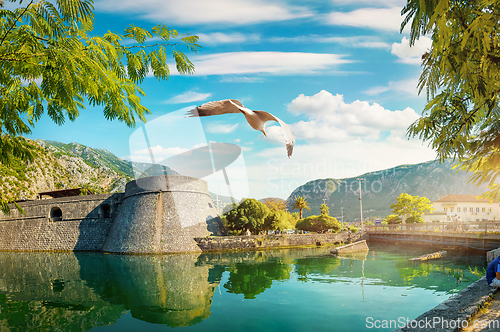 Image of Bastion Riva in Kotor