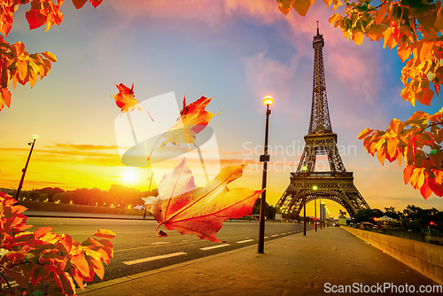 Image of Beautiful autumn in Paris