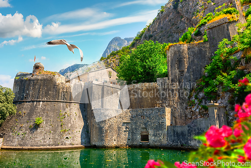 Image of Bird over Bastion