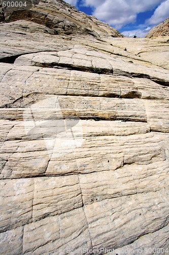 Image of Looking up the Sandstones in Snow Canyon - Utah