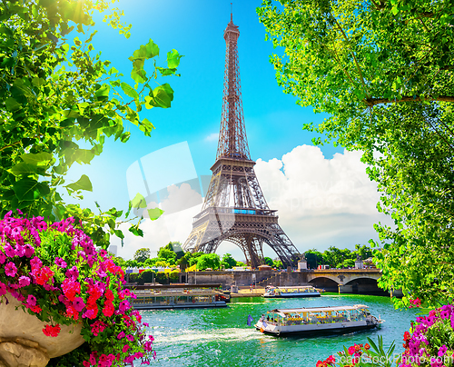 Image of Blossom in Paris