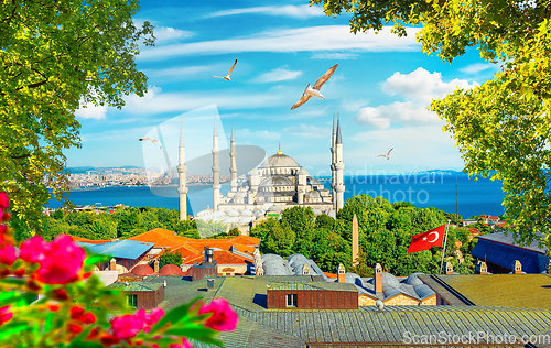 Image of Blue Mosque and flowers