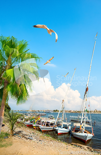 Image of Boat station in Aswan