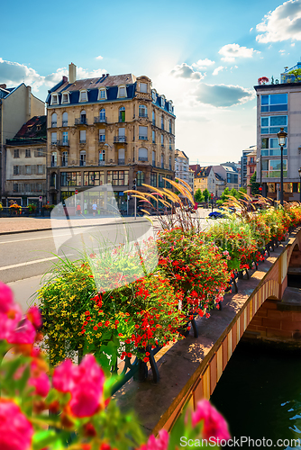 Image of Bridge of Strasbourg