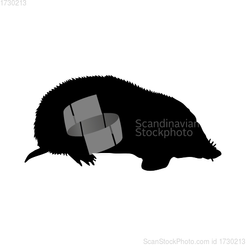 Image of Mole-Rat Silhouette