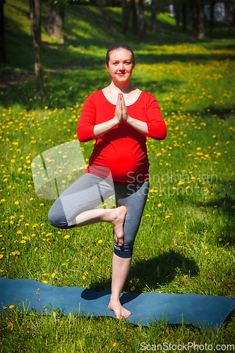 Image of Pregnant woman doing asana vrikshasana outdoors