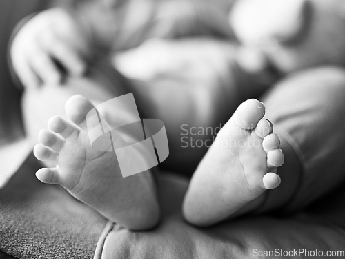 Image of Close-up of cute little baby feet, innocence concept. Black and white image.