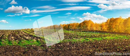 Image of Agro field in autumn