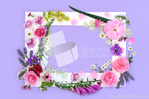 Image of Medicinal Summer Flowers and Wildflowers Background Frame 